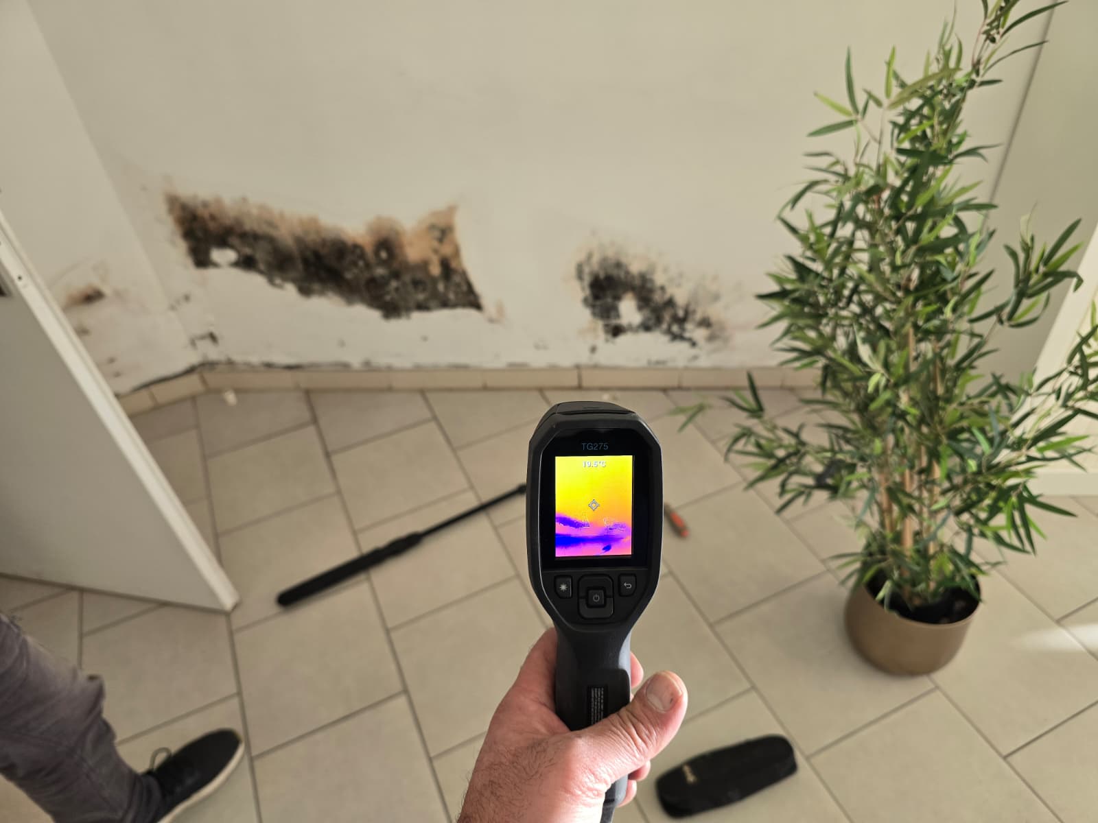 Recherche non destructive de fuite + réparation urgente